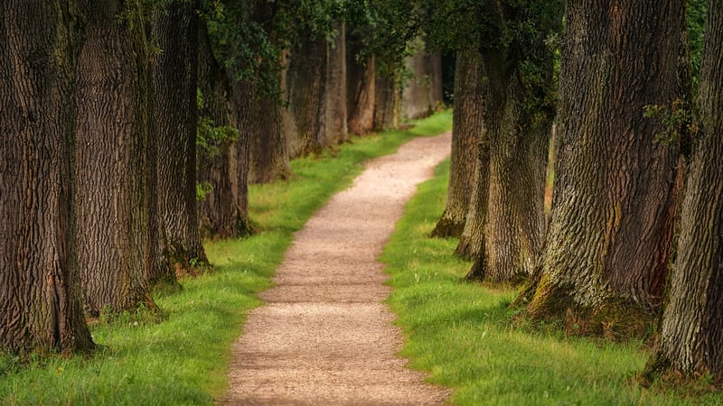 Nature Hikes